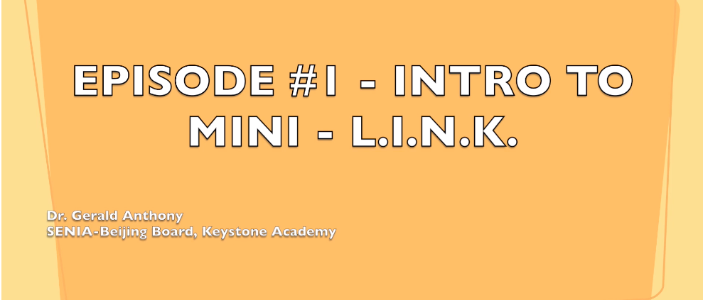 Mini L.I.N.K