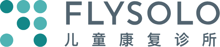 FlySolo Logo